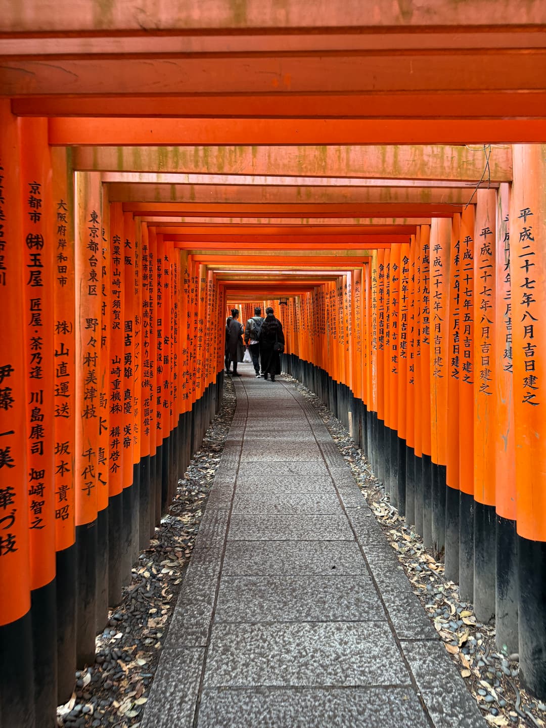 Swipe for travel photos